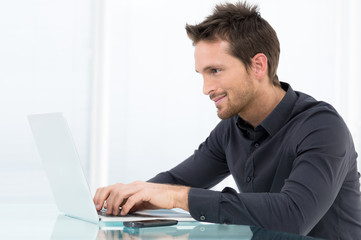 Fototapeta na wymiar Businessman Working On Laptop