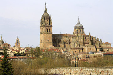 Naklejka premium CATEDRAL DE SALAMANCA