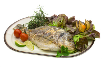 Dorado grilled