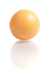 close up of Grapefruit