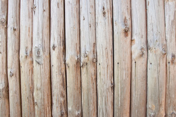 Obraz premium old wood background