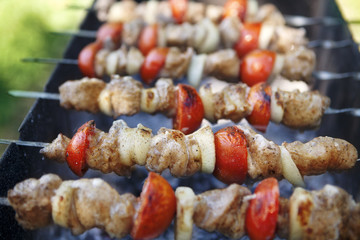 kebab preparation with tomatoes