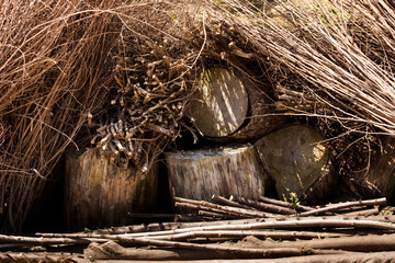 legno