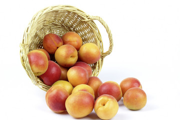 apricots in the basket on the White background