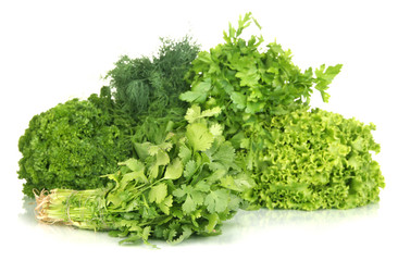 Obraz premium Useful herbs isolated on white