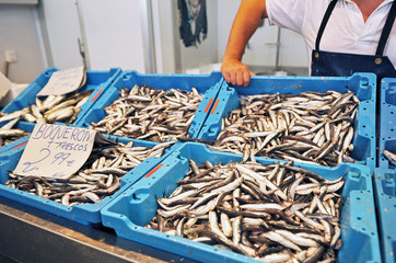 Venta de pescado fresco en la pescadería, boquerones
