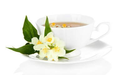 Cup of tea with jasmine, isolated on white