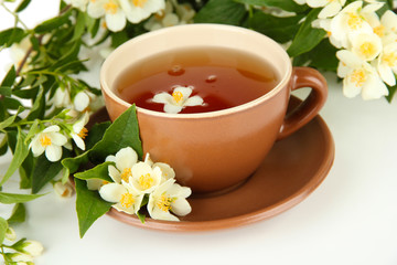 Cup of tea with jasmine, isolated on white