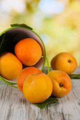 Fototapeta na wymiar Apricots in bucket on wooden table on nature background