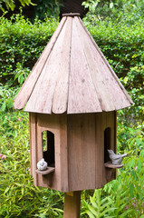 Wooden birdcage in the English garden