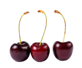 Three sweet cherries