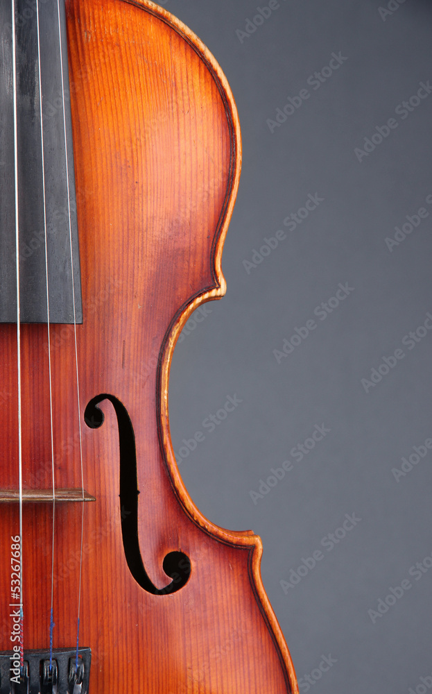 Wall mural classical violin on grey background