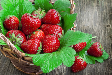 Strawberry fruits