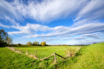 Fototapeta na wymiar fence on sunny dutch farmland