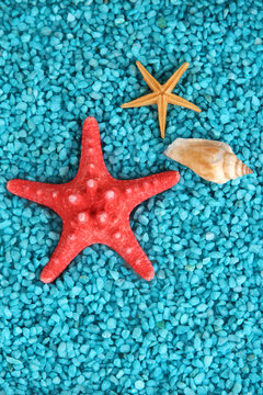 Decorative colored sand with shells close-up background