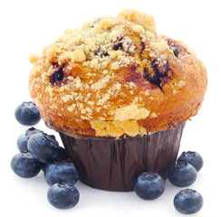 Blueberry Muffin - 53270217
