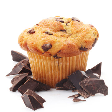 Chocolate Chip Muffin