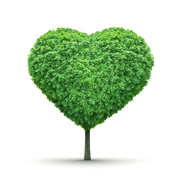 Heart-shaped green tree isolated