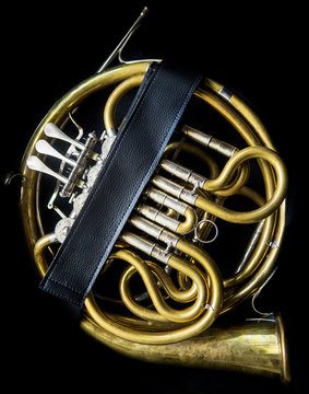 French horn in the case
