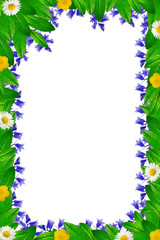 Green leaves and flowers frame