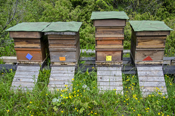 Bienenkisten - Front
