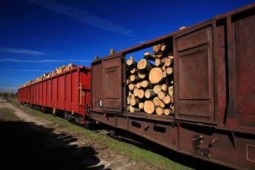 Obraz premium Timber train