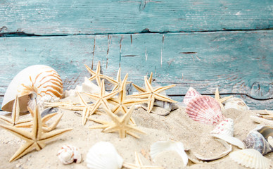 Strandgut und Muscheln vor türkisblauem Holz