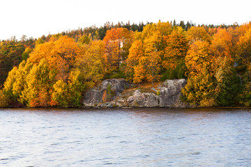 Obraz premium Autumn forest and lake landscape
