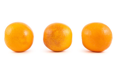 Three orange fruits isolated