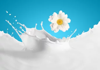 Papier Peint photo Lavable Milk-shake Image of milk splashes