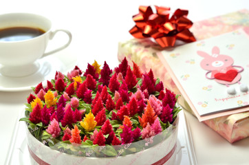 ケイトウのキャンドルケーキ