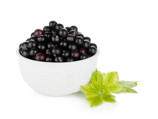 Black currant bowl