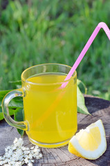 Healthy and delicious elderflower tea or lemonade