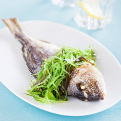 Grilled sea bream and seaweed salad, selective focus