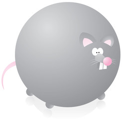 Cute overweigthed rat