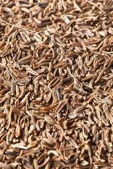 Cumin