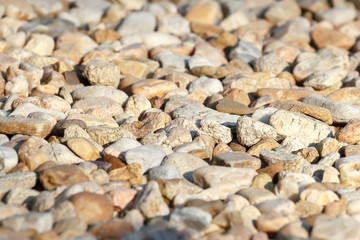 pebbles with shallow focus