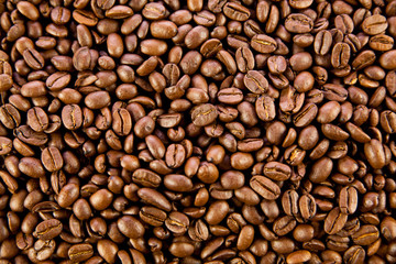 beans of  coffee