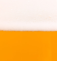 Light beer background