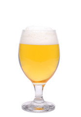 A wine goblet of beer