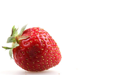 strawberries on a white background