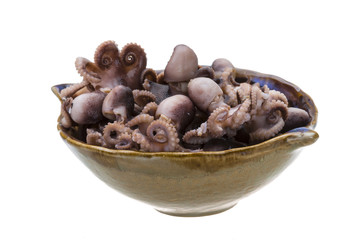 Boiled Octopus