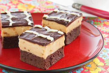 Brownies with peanuts and chocolate.