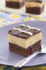 Brownies with peanuts and chocolate.