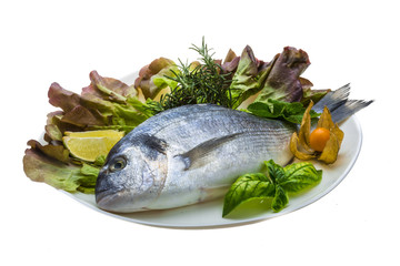 Fresh raw dorada