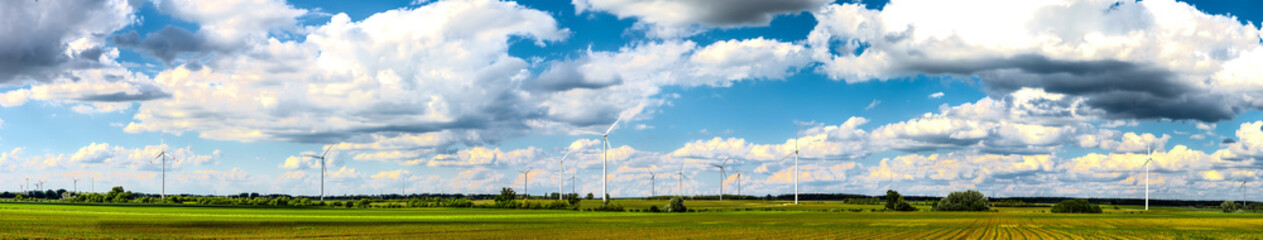Wind power plants on field panorama - obrazy, fototapety, plakaty