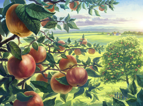 Summer landscape with apples