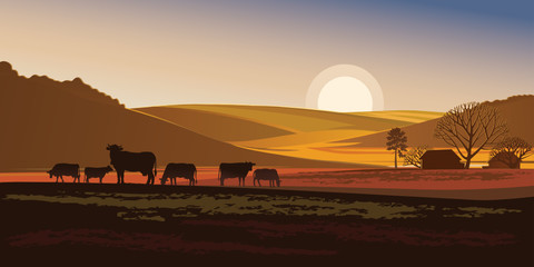 Fototapeta na wymiar Summer evening landscape with cows