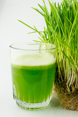 Green Organic Wheat Grass Juice ready to drink