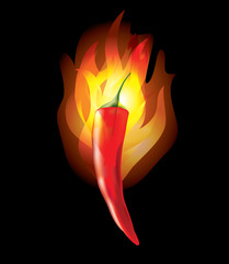 burning chilli pepper on black photo-realistic vector